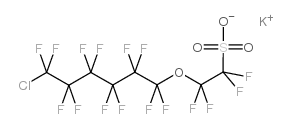 F-53B Structure