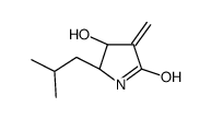 (4S,5S)-4-hydroxy-3-methylidene-5-(2-methylpropyl)pyrrolidin-2-one Structure