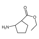 (1R,2r)-2-氨基环戊烷羧酸乙酯结构式