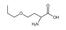 L-Homoserine, O-propyl- Structure