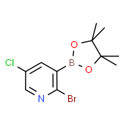 2-Bromo-5-chloropyridine-3-boronic acid pinacol ester结构式