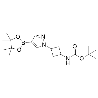 叔丁基(3-(4-(4,4,5,5-四甲基-1,3,2-二氧苯甲醛-2-基)-1H-吡唑-1-基)环丁基)氨基甲酸酯结构式