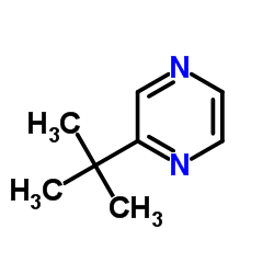 t-butylpyrazine Structure