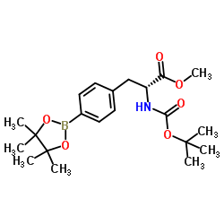 D-Phenylalanine, N-[(1,1-dimethylethoxy)carbonyl]-4-(4,4,5,5-tetramethyl-1,3,2-dioxaborolan-2-yl)-, methyl ester Structure