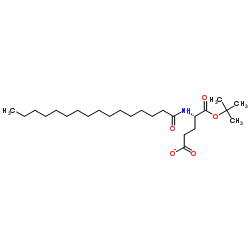 N-(1-Oxohexadecyl)-L-glutaMic Acid tert-Butyl Ester picture