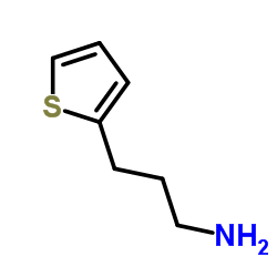 3-(2-Thienyl)-1-propylamine结构式