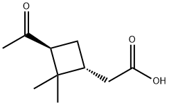 [(1R,3S)-2,2-Dimethyl-3-acetylcyclobutyl]acetic acid picture