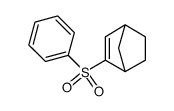 2-(phenylsulfonyl)bicyclo[2.2.1]heptene Structure