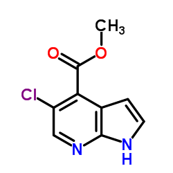 Methyl 5-chloro-1H-pyrrolo[2,3-b]pyridine-4-carboxylate Structure