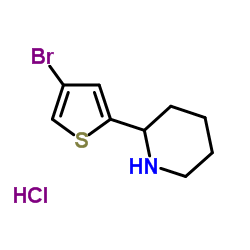 2-(4-BROMO-2-THIENYL)PIPERIDINE HYDROCHLORIDE结构式