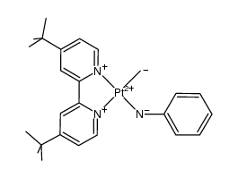 (4,4'-di-tert-butyl-2,2'-dipyridyl)Pt(Me)(NHPh)结构式