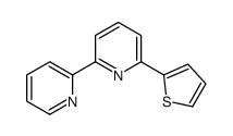 2-pyridin-2-yl-6-thiophen-2-ylpyridine结构式