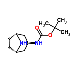 N-[(3-exo)-8-氮杂双环[3.2.1]辛烷-3-基]氨基甲酸叔丁酯结构式