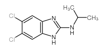 5,6-DICHLORO-2-ISOPROPYLAMINOBENZIMIDAZOLE Structure