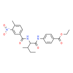 Benzoic acid, 4-[[3-methyl-2-[(4-methyl-3-nitrobenzoyl)amino]-1-oxopentyl]amino]-, ethyl ester (9CI) Structure