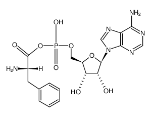 phenylalanyl adenylate structure