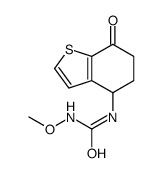 1-methoxy-3-(7-oxo-5,6-dihydro-4H-1-benzothiophen-4-yl)urea结构式