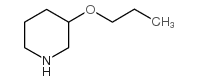 3-PROPOXY-PIPERIDINE structure