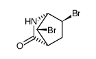 6,7-dibromo-2-azabicyclo(2.2.1)heptan-3-one结构式