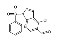 1H-PYRROLO[2,3-B]PYRIDINE-5-CARBOXALDEHYDE, 4-CHLORO-1-(PHENYLSULFONYL)- picture