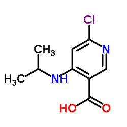 6-Chloro-4-(isopropylamino)nicotinic acid Structure