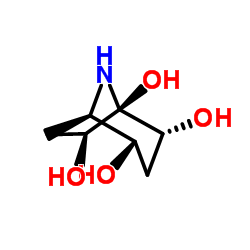 Calystegine B5 Structure