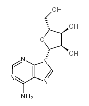 L-Adenosine picture