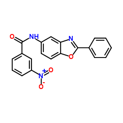 3-NITRO-N-(2-PHENYLBENZOOXAZOL-5-YL)BENZAMIDE结构式