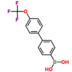 [4'-(Trifluoromethoxy)-4-biphenylyl]boronic acid结构式