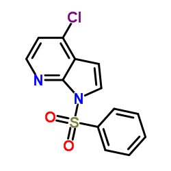4-氯-1-苯磺酰基-1H-吡咯并[2,3-b]吡啶结构式