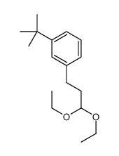 1-tert-butyl-3-(3,3-diethoxypropyl)benzene Structure