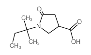 1-(1,1-Dimethylpropyl)-5-oxopyrrolidine-3-carboxylic acid structure