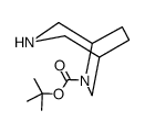 3,6-二氮杂二环[3.2.2]壬烷-6-羧酸叔丁酯结构式