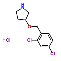 3-((2,4-Dichlorobenzyl)oxy)pyrrolidine hydrochloride picture
