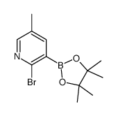 2-Bromo-5-methylpyridine-3-boronic acid pinacol ester结构式