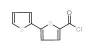 2,2'-BITHIOPHENE-5-CARBONYL CHLORIDE picture