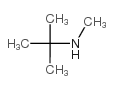 n-methyl-tert-butylamine Structure