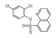 (2,4-dichlorophenyl) quinoline-8-sulfonate Structure