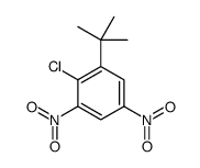 1-tert-butyl-2-chloro-3,5-dinitrobenzene Structure