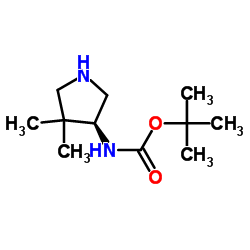 Carbamic acid, [(3S)-4,4-dimethyl-3-pyrrolidinyl]-, 1,1-dimethylethyl ester (9CI) picture