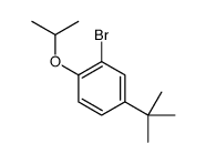 2-Bromo-4-t-butyl-1-isopropoxybenzene结构式