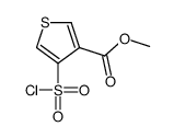 methyl 4-chlorosulfonylthiophene-3-carboxylate结构式