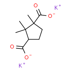 Dipotassium camphorate structure