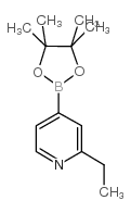 2-Ethyl-4-(4,4,5,5-tetramethyl-1,3,2-dioxaborolan-2-yl)pyridine structure