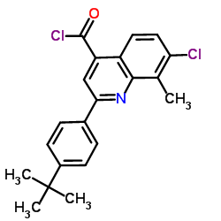 2-(4-tert-butylphenyl)-7-chloro-8-methylquinoline-4-carbonyl chloride结构式