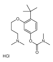 [4-tert-butyl-3-[3-(dimethylamino)propoxy]phenyl] N,N-dimethylcarbamate,hydrochloride Structure