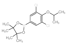 2-(3,5-DICHLORO-4-ISOPROPOXYPHENYL)-4,4,5,5-TETRAMETHYL-1,3,2-DIOXABOROLANE structure