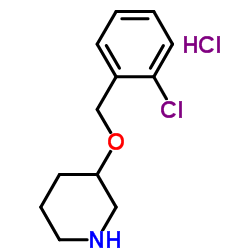 3-[(2-Chlorobenzyl)oxy]piperidine hydrochloride (1:1) Structure