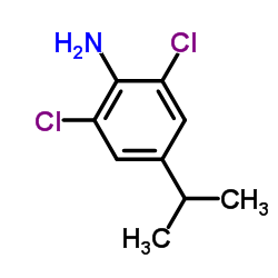 2,6-Dichloro-4-isopropylaniline Structure