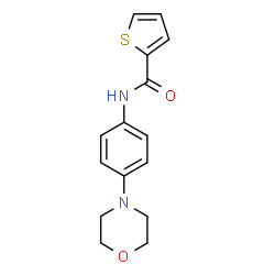 N-(4-morpholinophenyl)thiophene-2-carboxamide structure